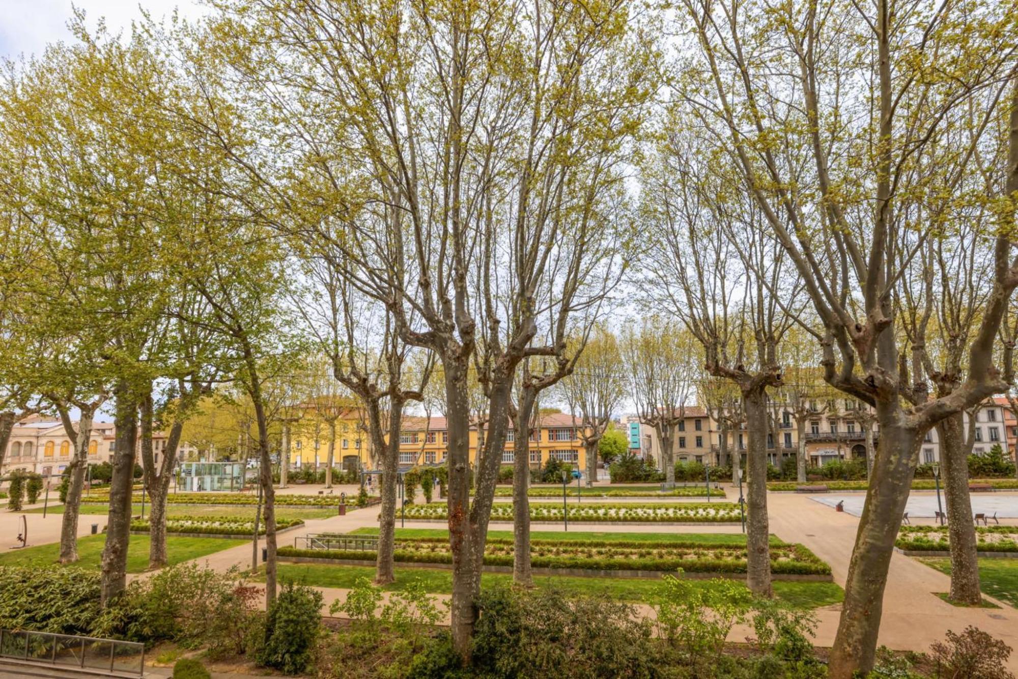 L'Art De Gambetta Conciergeriedamecarcas Appartement Carcassonne Buitenkant foto